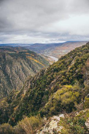 日剧电视剧下载封面，日本职场推理剧场景